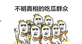 天气冷吃瓜群众