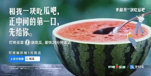 泗水吃瓜新闻事件,一场网络舆论的风暴与反思