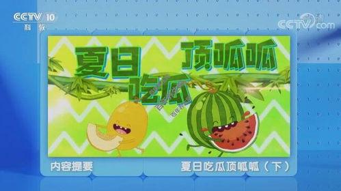 夏日吃瓜顶呱呱,吃瓜顶呱呱，清凉一夏！
