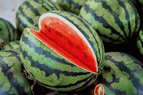 吃瓜买瓜视频教程,视频教程带你玩转夏日消暑新潮流